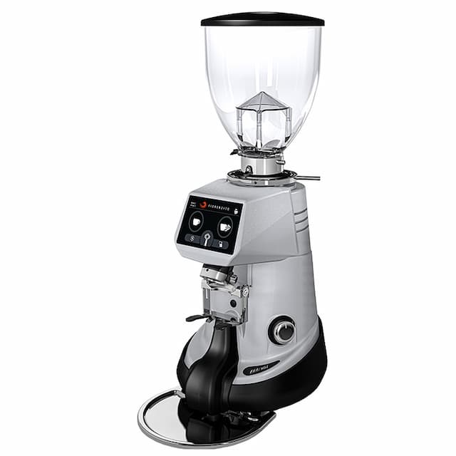Кофемолка Fiorenzato F64 E XGi серая