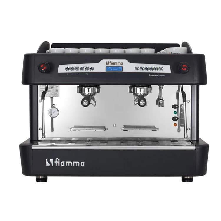 Профессиональная (рожковая) кофемашина Fiamma Quadrant 2 DSP BLACK